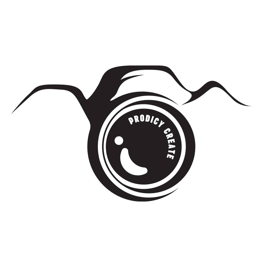 Logo of Prodicy Create, a team of photographers in Cape Town.