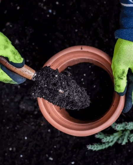 Photo of a farmer's hands placing compost for sale into a flower pot.